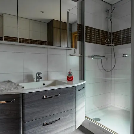 Am Senftenberger Großkoschen